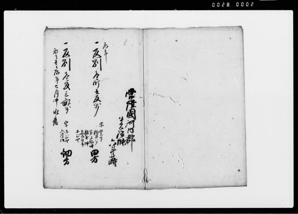 作品画像：水災ニ付田毛腐朽取調書上帳