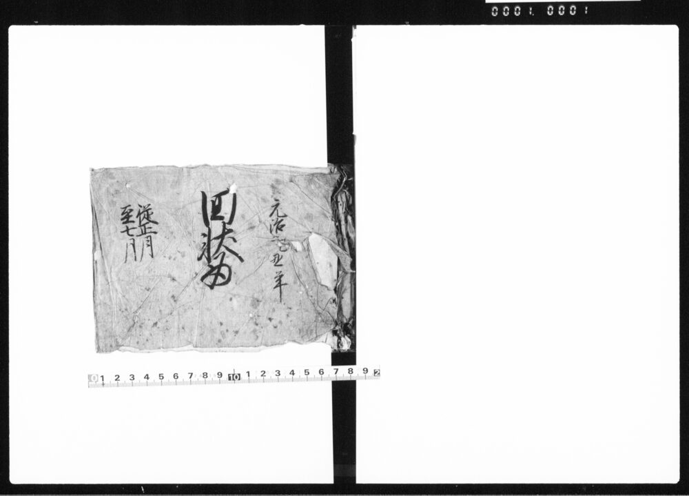 作品画像：回状留