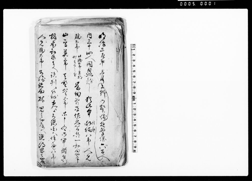 作品画像：（戊辰戦争戦記）