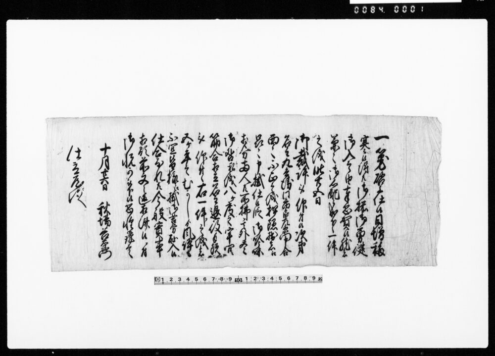 （書状）（名主九兵衛 同市左兵衛不正につき所払）