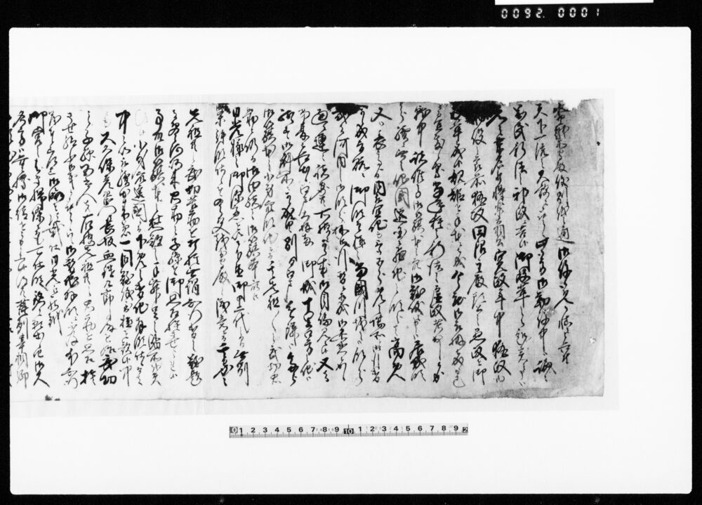 作品画像：（水野越前守御役御免ニ付）
