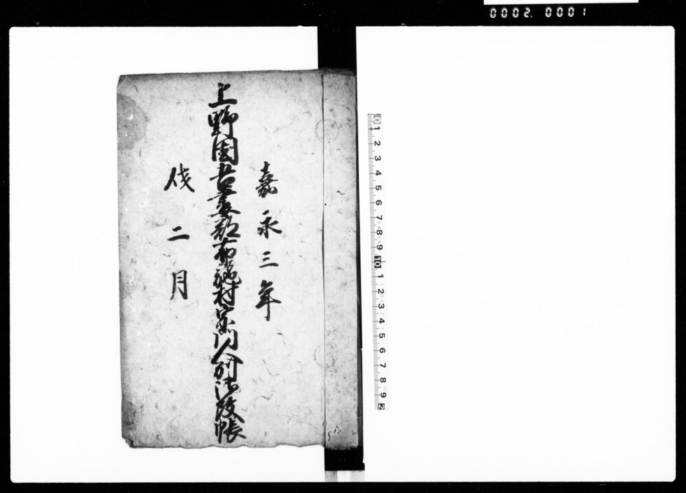 上野国吾妻郡布施村宗門人別御改帳