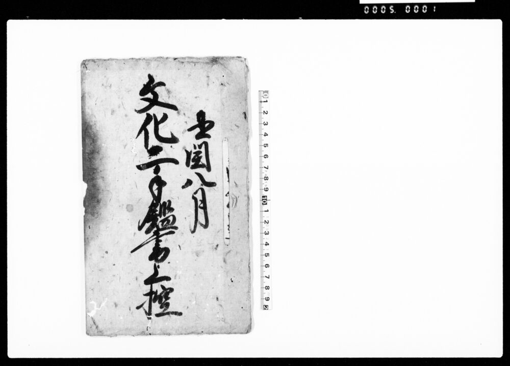 作品画像：文化二手鑑書上控（野中村の村況）