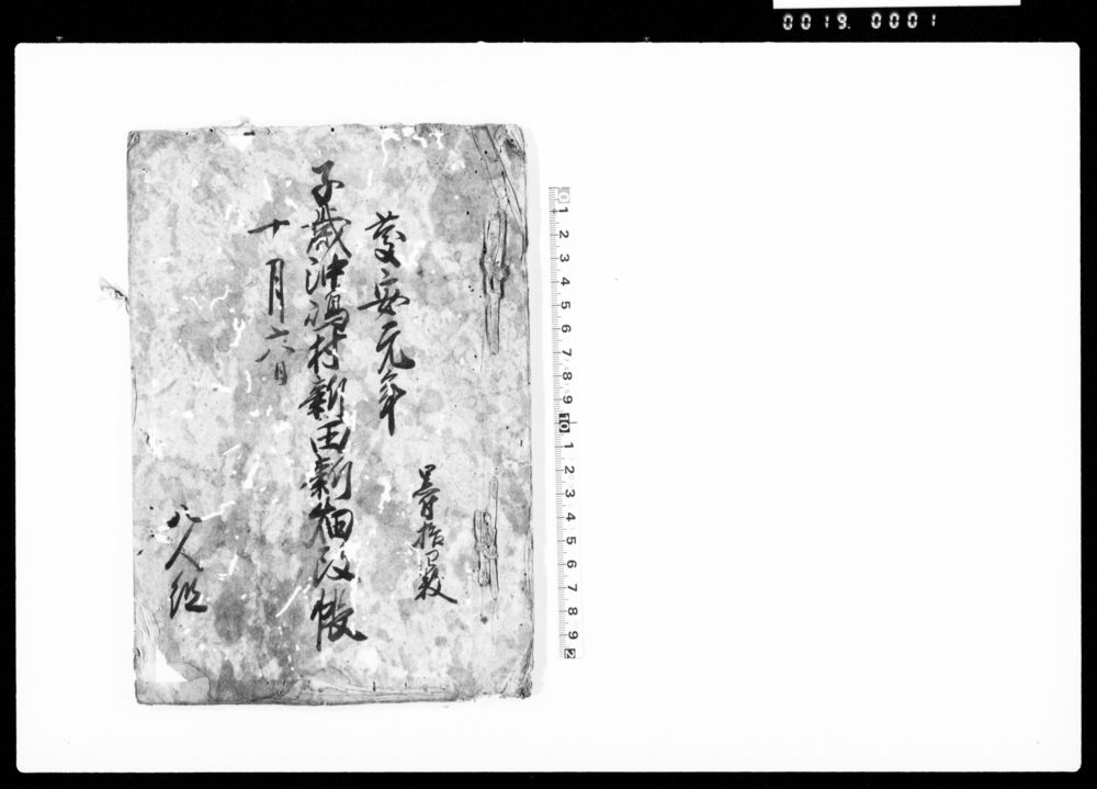 子歳沖嶋村新田新畑改帳
