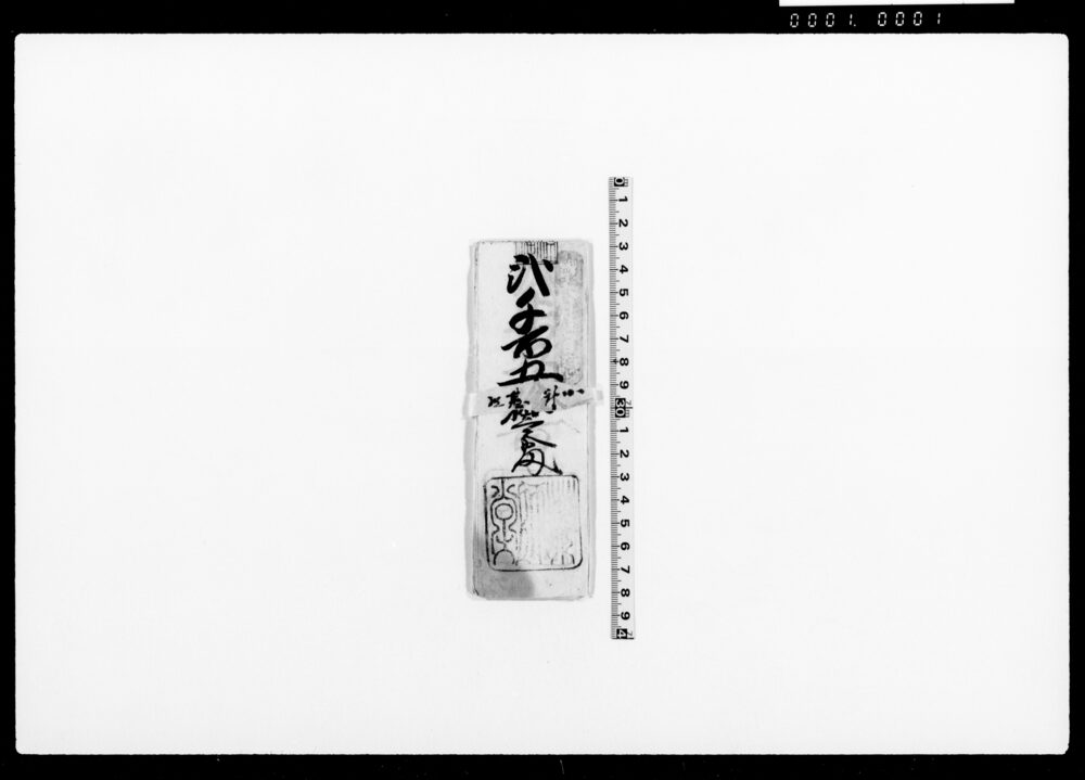 作品画像：武蔵国埼玉郡小針村文書（薬師堂 富札 他）