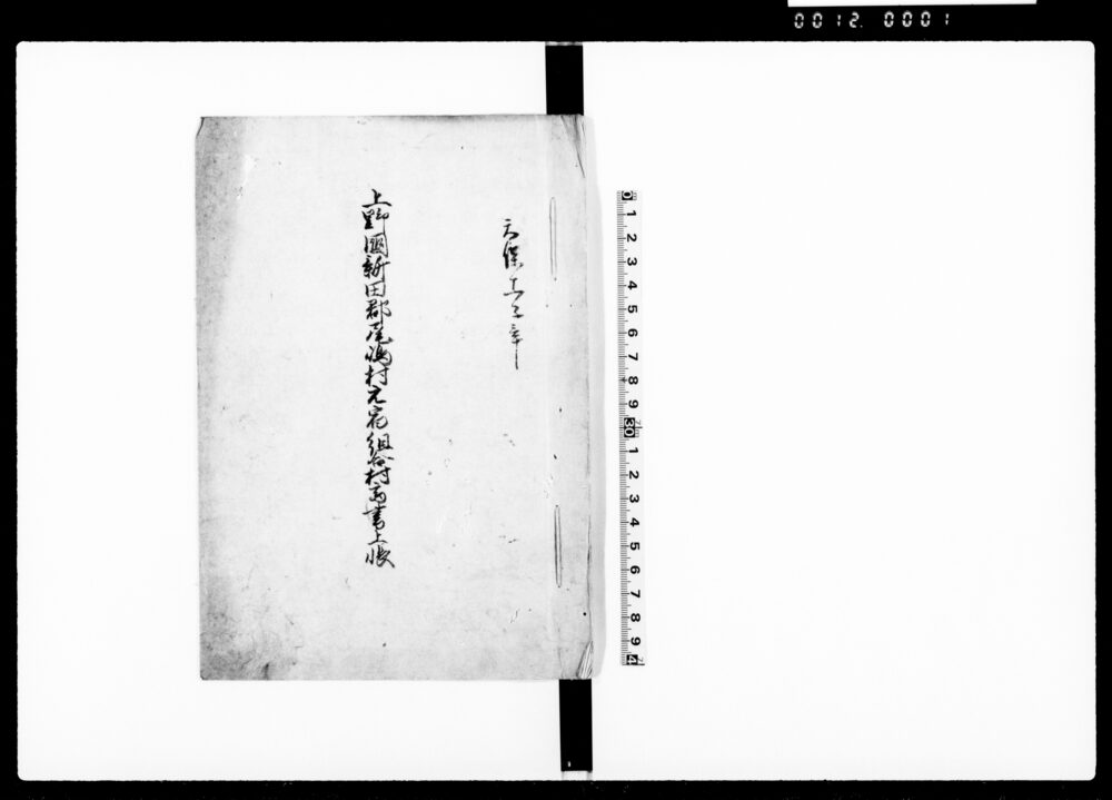 作品画像：上野国新田郡尾嶋村元宿組合村高書上帳
