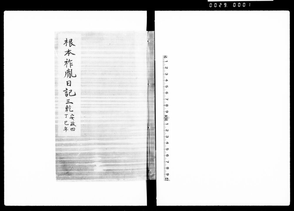 作品画像：根本祚胤日記　三乾