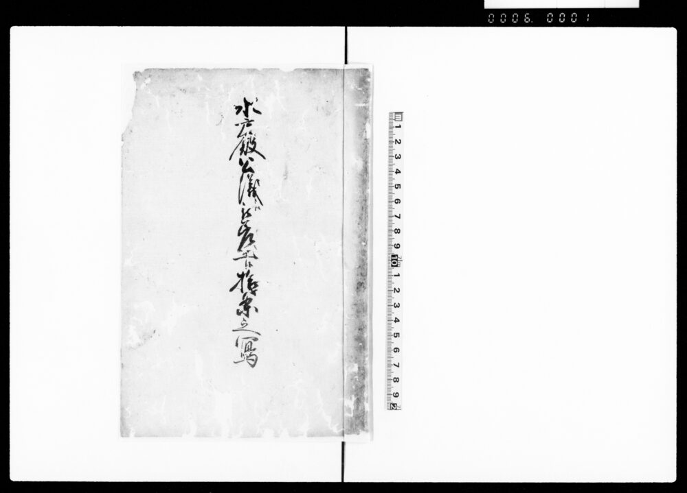 水戸殿公儀江被差出候拾ケ条之写