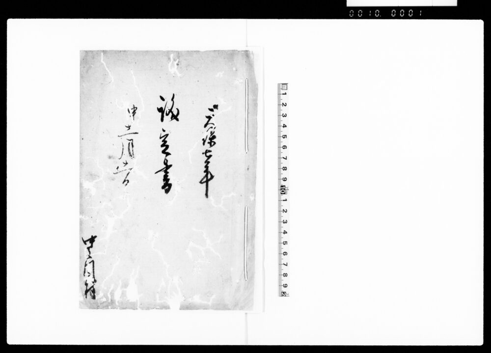 議定書（八蔵・儀兵衛両人企て荷担仕らざる旨につき）