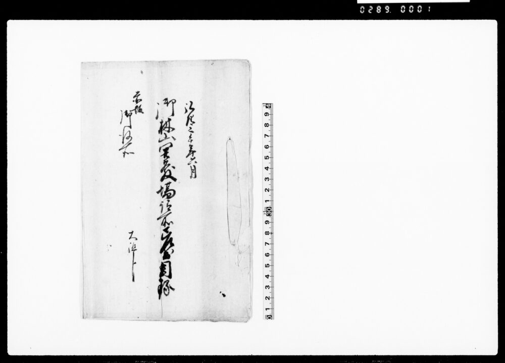 御領主様夫人不足ニ付願書（夫人人少きため1人千両割にて金納の旨許可願）