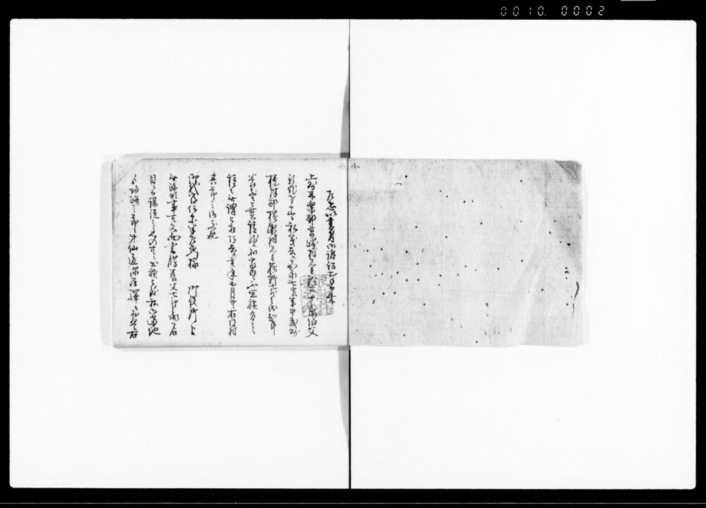 作品画像：手留写