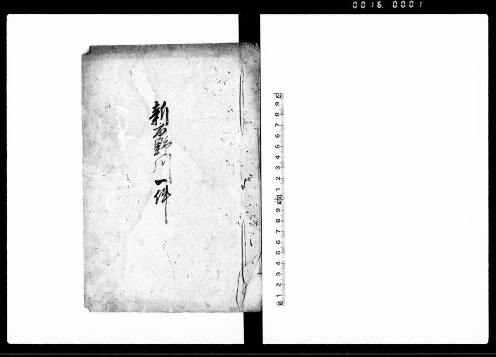 作品画像：新市野川一件