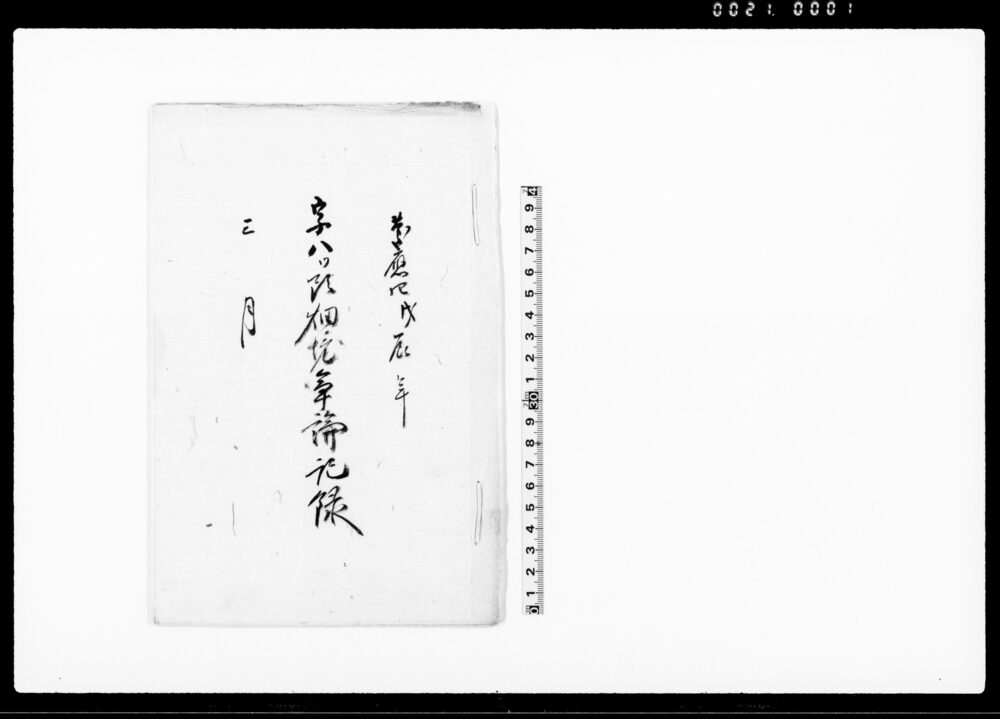 作品画像：字八ッ頭畑境争論記録