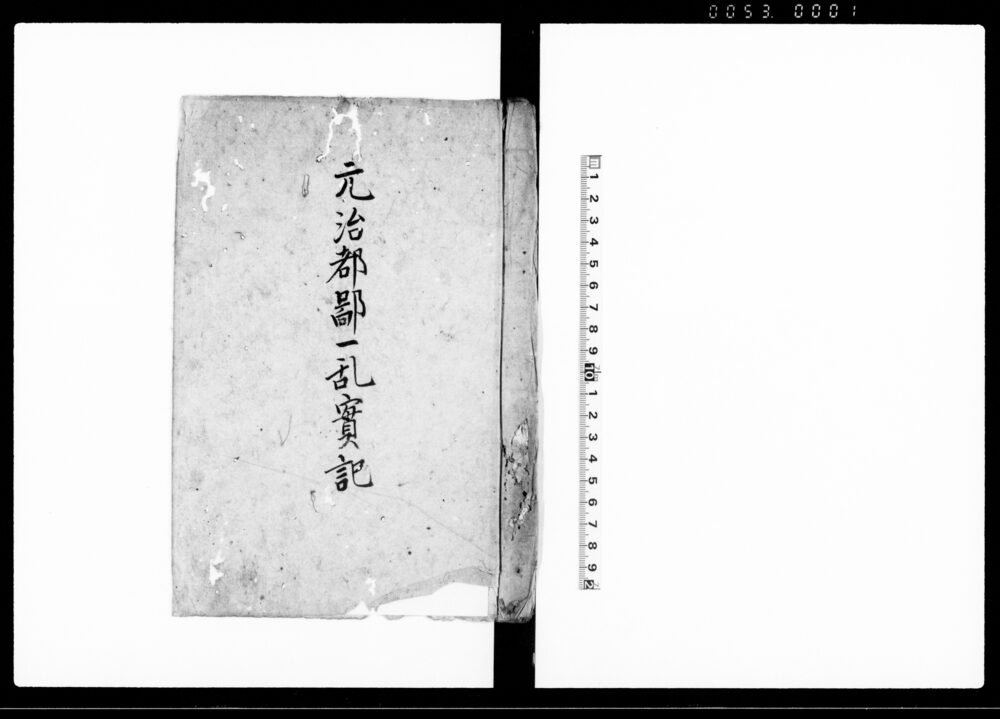 作品画像:元治都鄙一乱実記