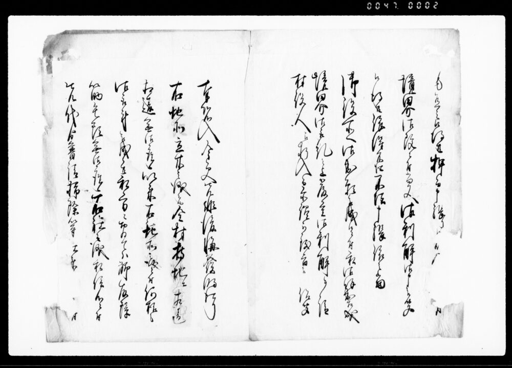 作品画像：差入申一札之事（若宮八幡と争地境界改めの処示談につき吟味取下願）