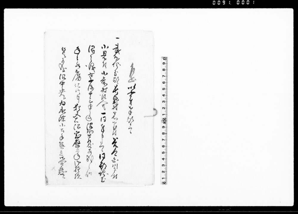 作品画像：乍恐以書付奉願上候（武州埼玉郡地押沼開発の処土手見分願につき）