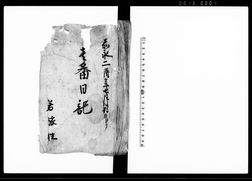 作品画像：壱番日記