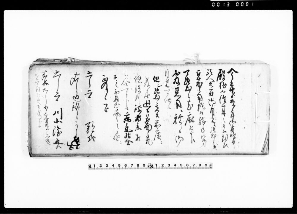 作品画像：（御用留）