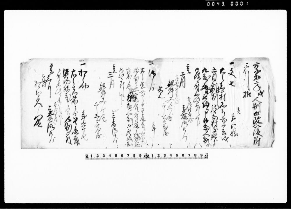 作品画像：享和二年戌人別御改以後附取引扣