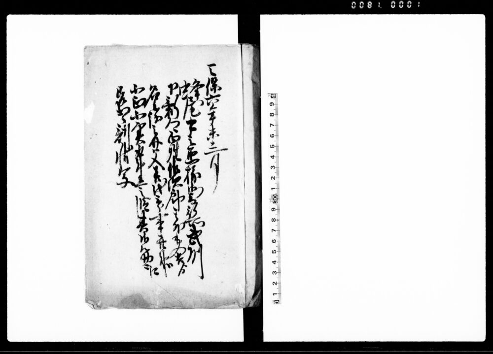 作品画像：（武州埼玉郡下新郷百姓其他より名主及び父不正不実取計立之段其御筋々江差出候訴状写）