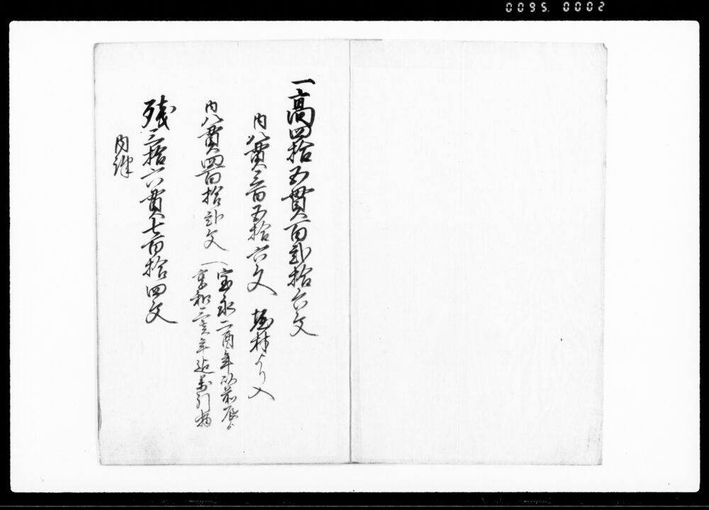 作品画像：庚午免相（国分寺組大久保村）
