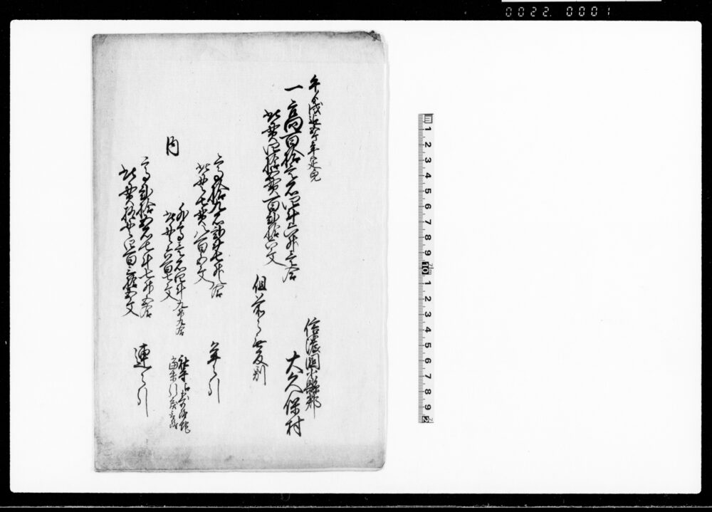 作品画像：（信濃国小県郡大久保村年貢割付）