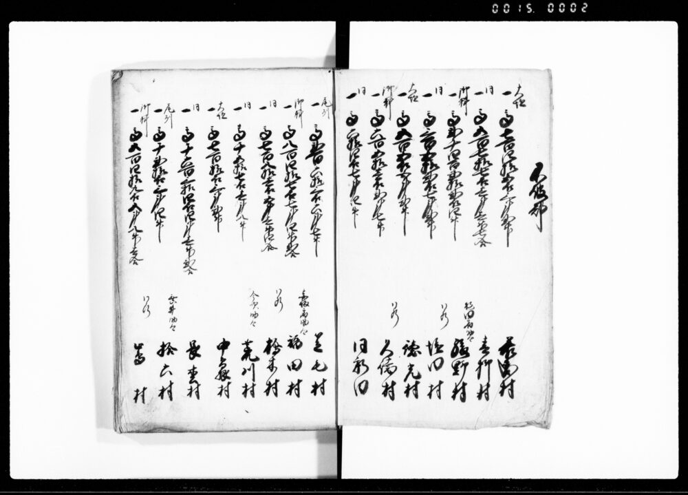 作品画像：（美濃国及び尾張国三郡村高書上帳）