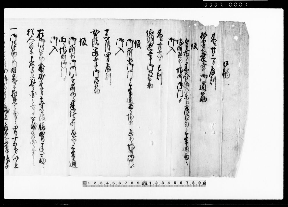 作品画像：上総国夷隅郡長志郷文書 越後国蒲原郡野中村文書 他