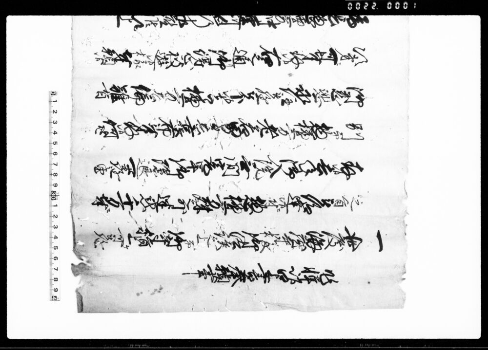 作品画像：相模国鎌倉郡扇ヶ谷村文書 越後国蒲原郡野中村文書 他