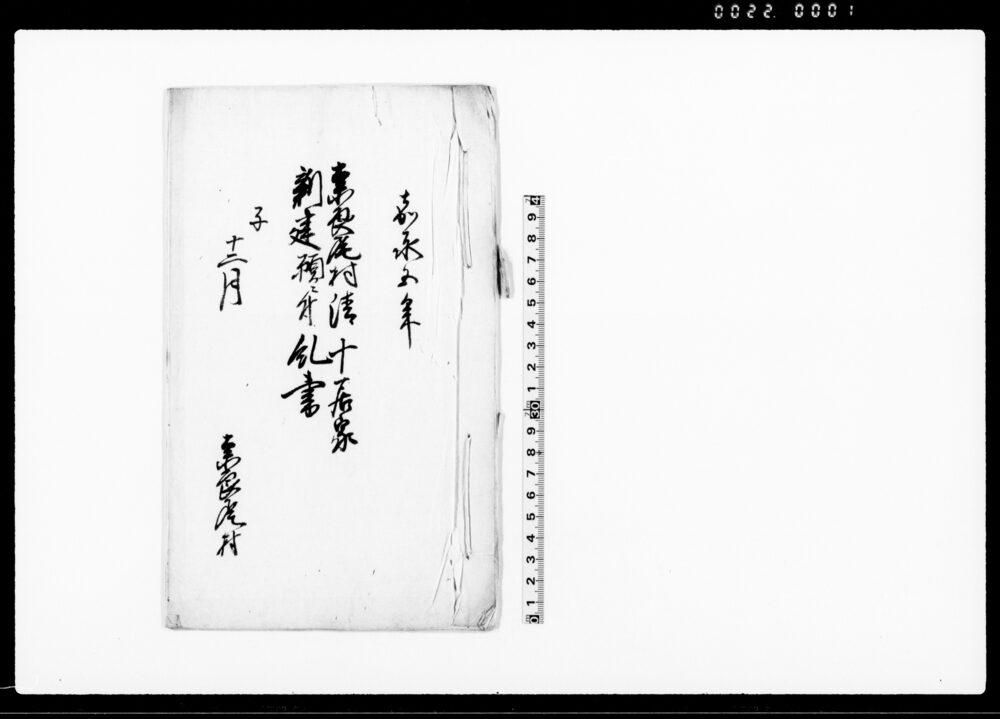 作品画像：奈良尾村清十居家新建願ニ付糺書