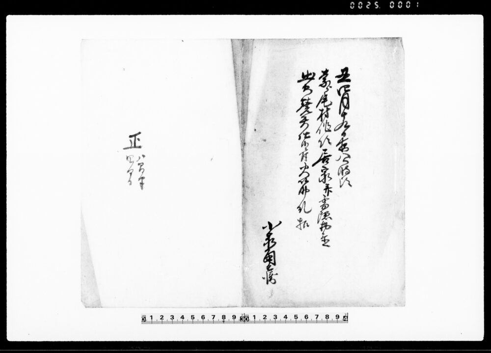 作品画像：丑四月十九日夜八ツ時頃奈良尾村作次居家并雪隠物置出火焼失仕候ニ付火筋糺扣