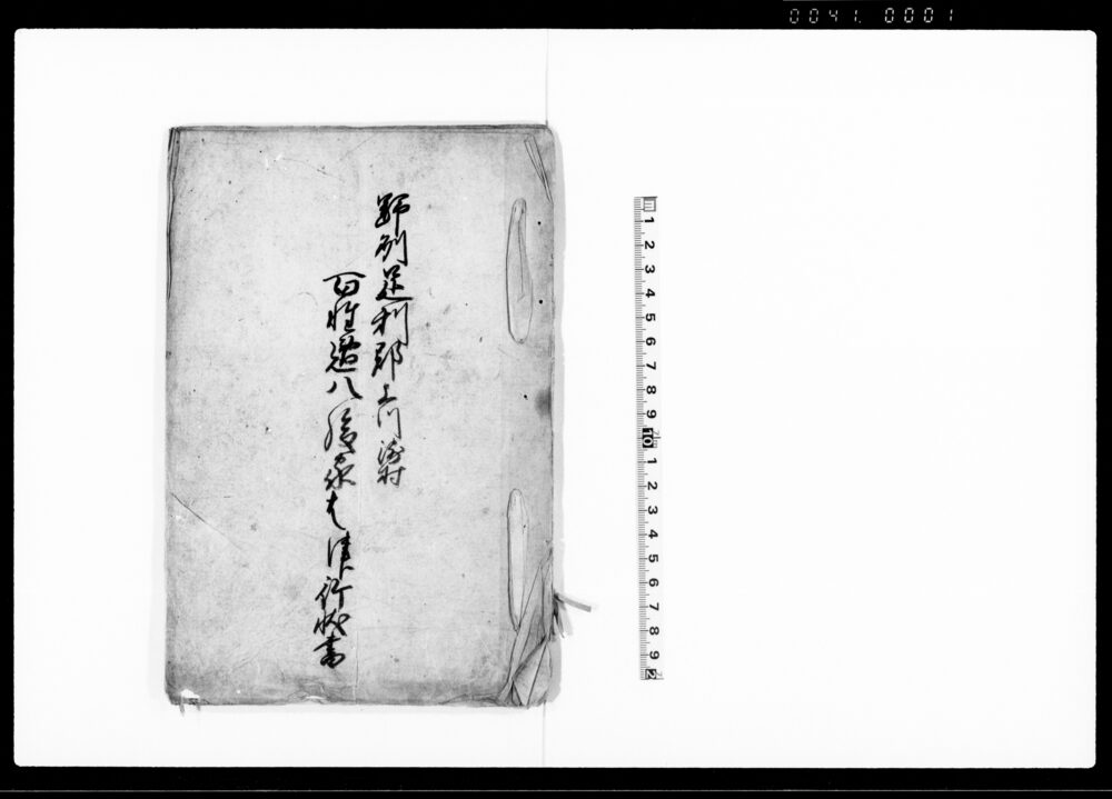 作品画像：野州足利郡上川崎村百姓逸八後家はつ行状書
