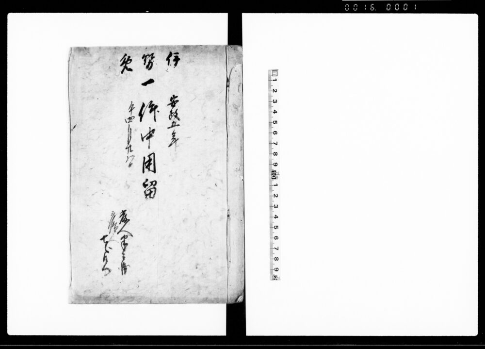 作品画像：伊勢免一件中用留