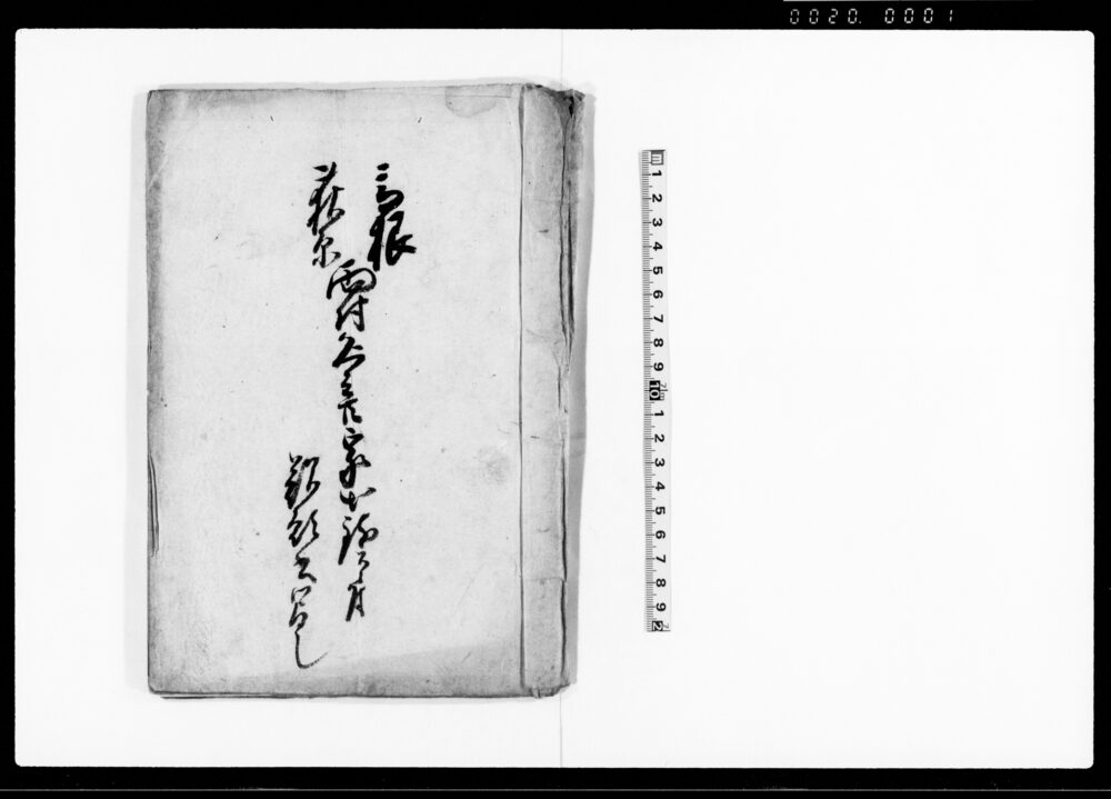 作品画像：高根荻原両村名主共家出致スニ付歎願書写し（武州入間郡高根村及び荻原村両村名主江戸宿にて家出の件につき）