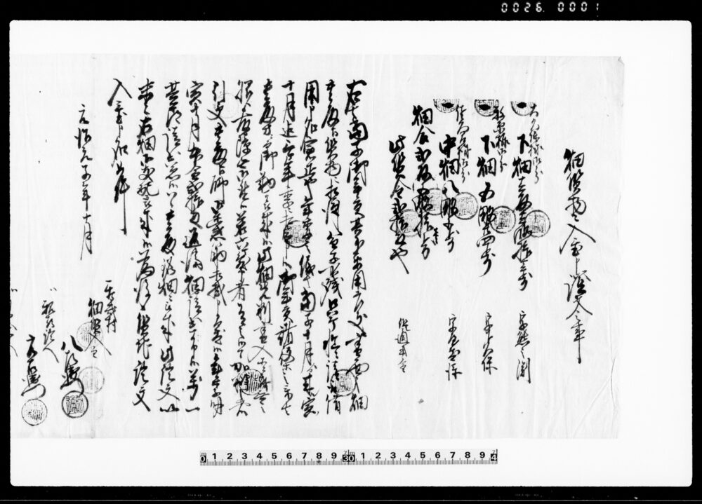 畑質物ニ入置申証文之事（当子年貢其外要用差支・畑2反5畝10歩・金20両）他
