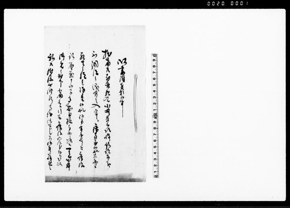 作品画像：以書附奉願候事（新次郎不調法にて入牢の件につき引下願）