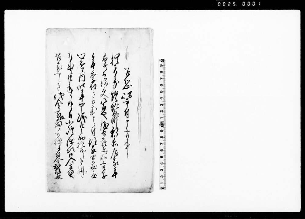 作品画像：乍恐以書付申上候事（借受店家年季切の為住家買求の処利金にて譲渡申入の旨につき）