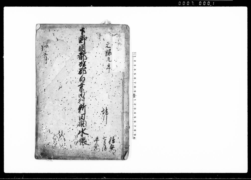 作品画像：下野国都賀郡白桑田村新田畑水帳