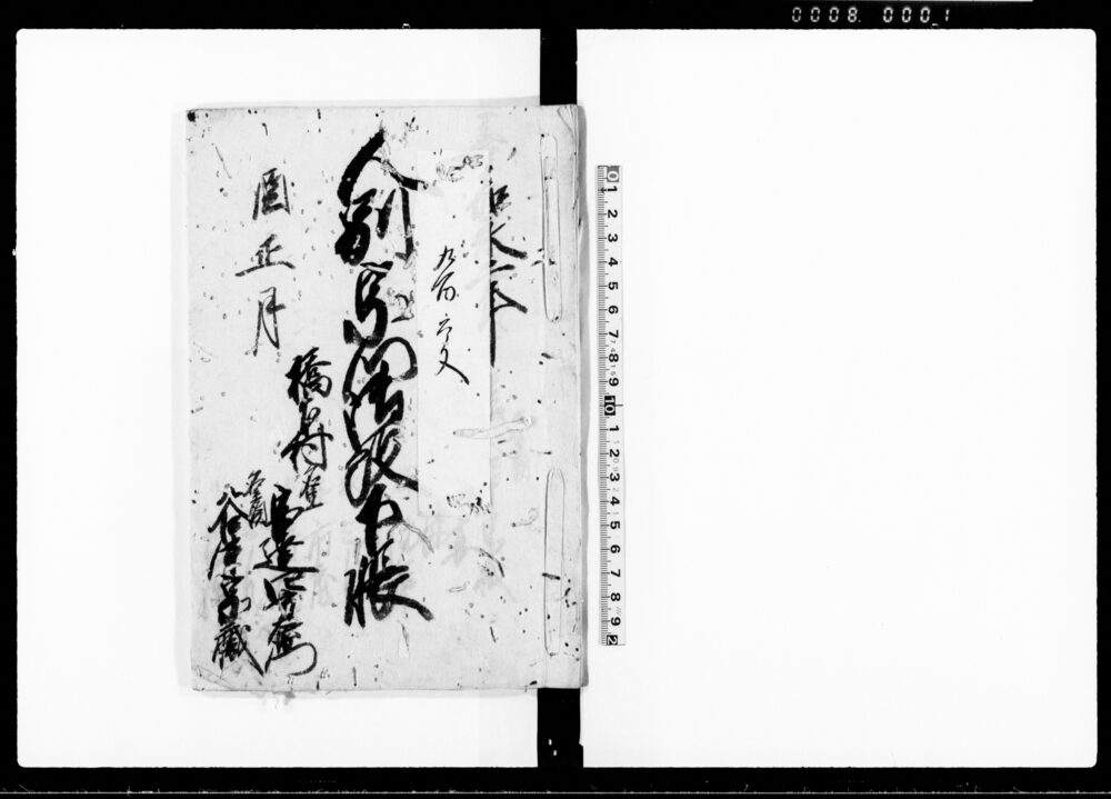 作品画像：人別宗門御改下帳