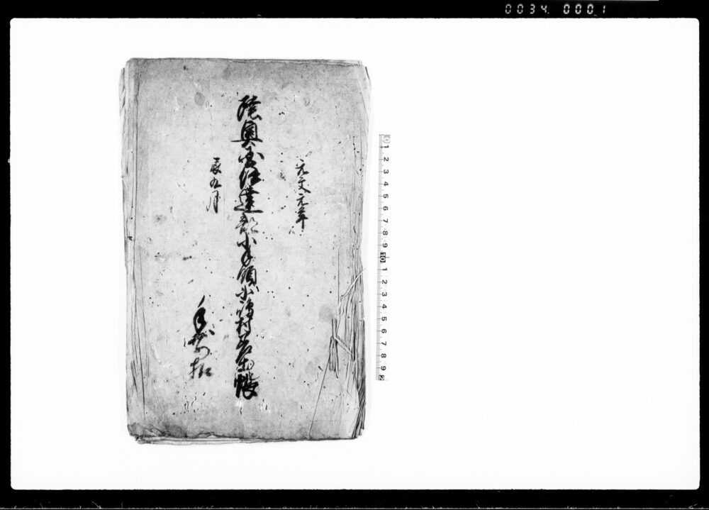 作品画像：陸奥国伊達郡小手領小嶋村差出帳（手前扣）
