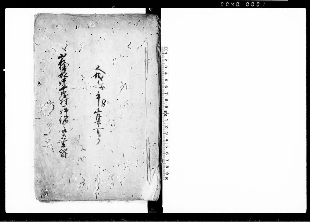 作品画像：岩城郡中平窪村一件銘々口上書留（変死人始末一件）