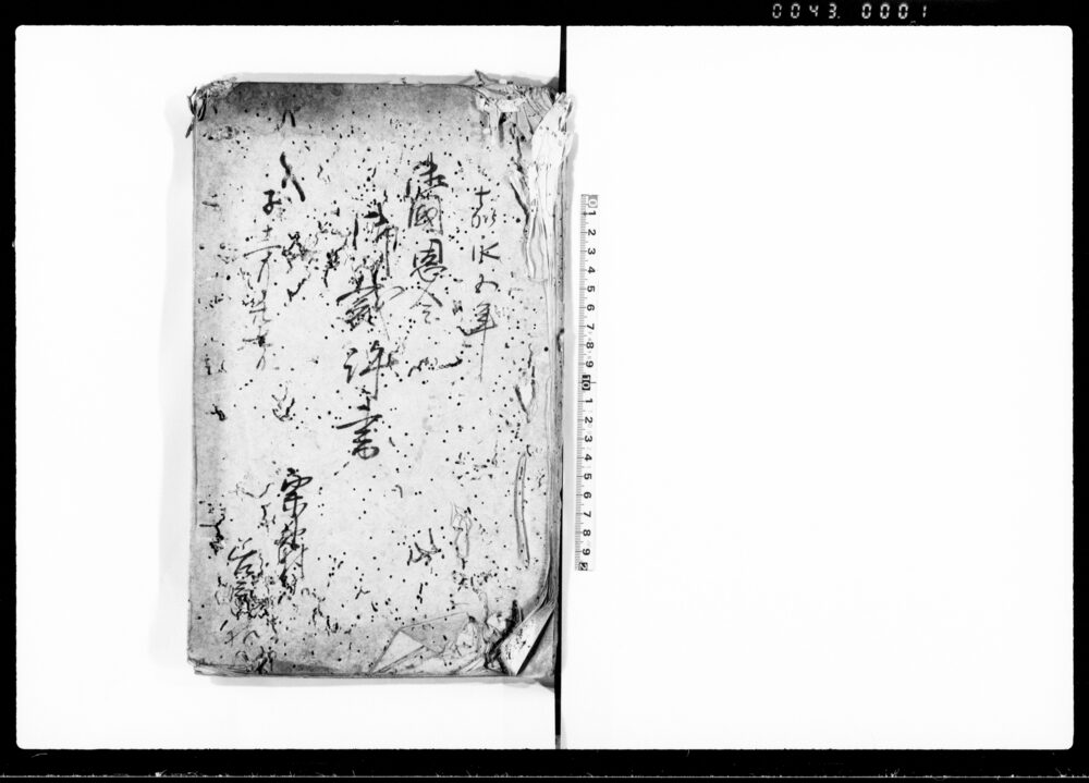 作品画像：御国恩金御裁許書