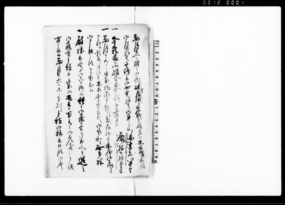 作品画像：（殿様逝去につき書簡下書）