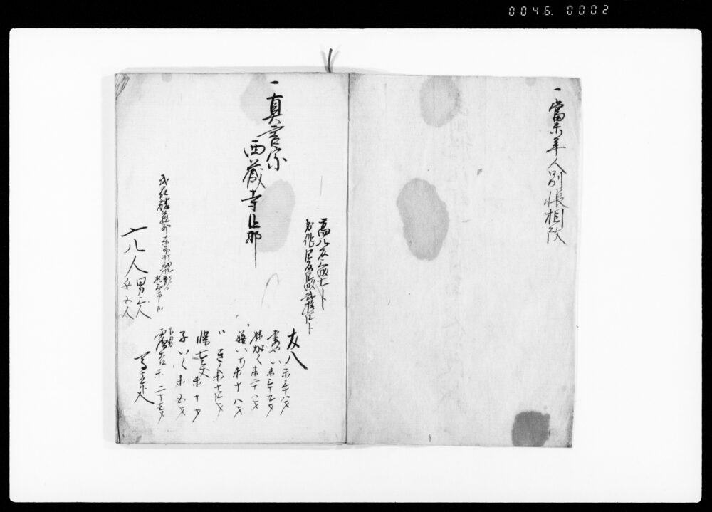 作品画像：武州榛沢郡東大沼村当未人別改帳