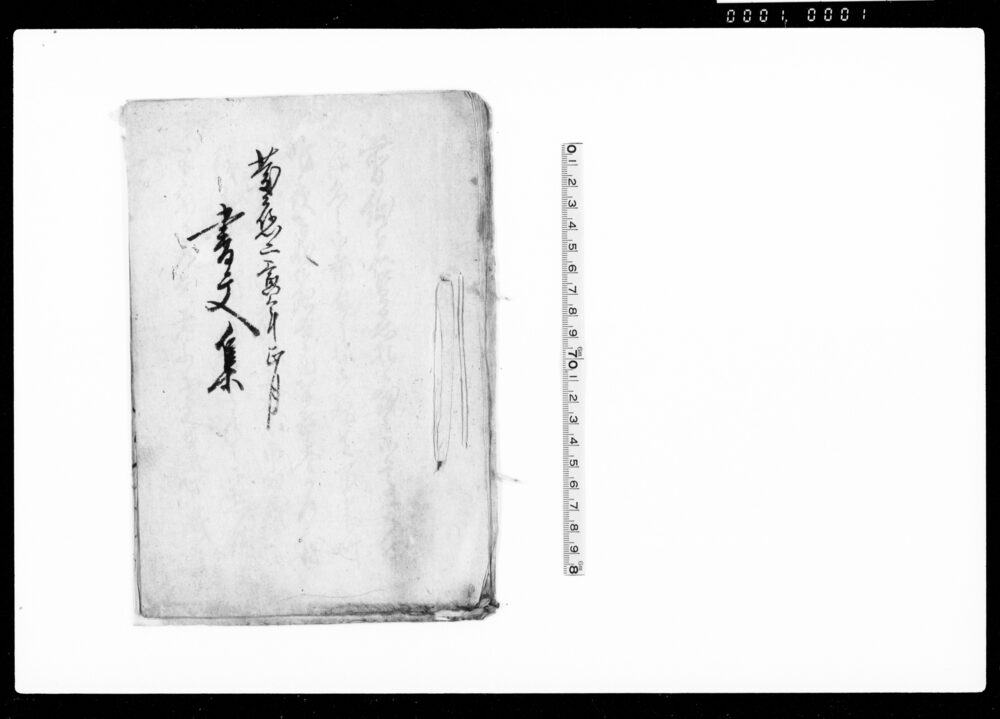 作品画像：書文集（諸書状書留集）