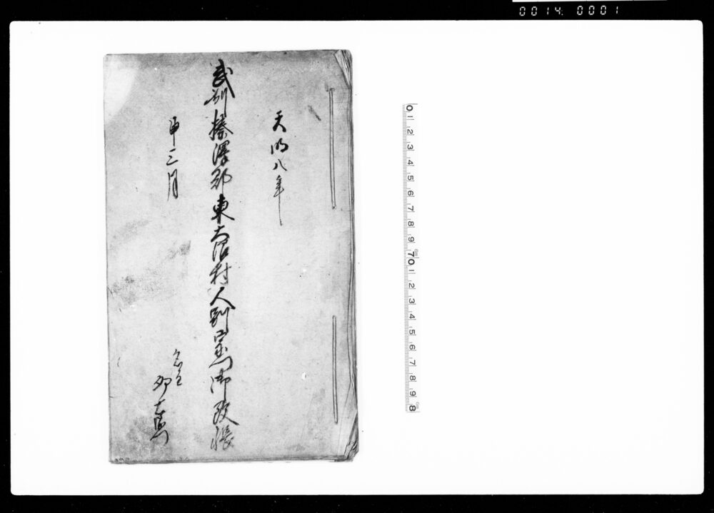 作品画像：武州榛沢郡東大沼村人別宗門御改帳