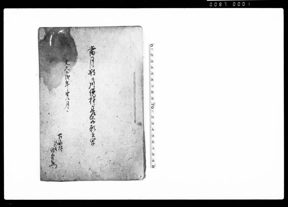 作品画像：当月朔日川俣村ニ而差上候願書写（渡良瀬川水留御普請につき）