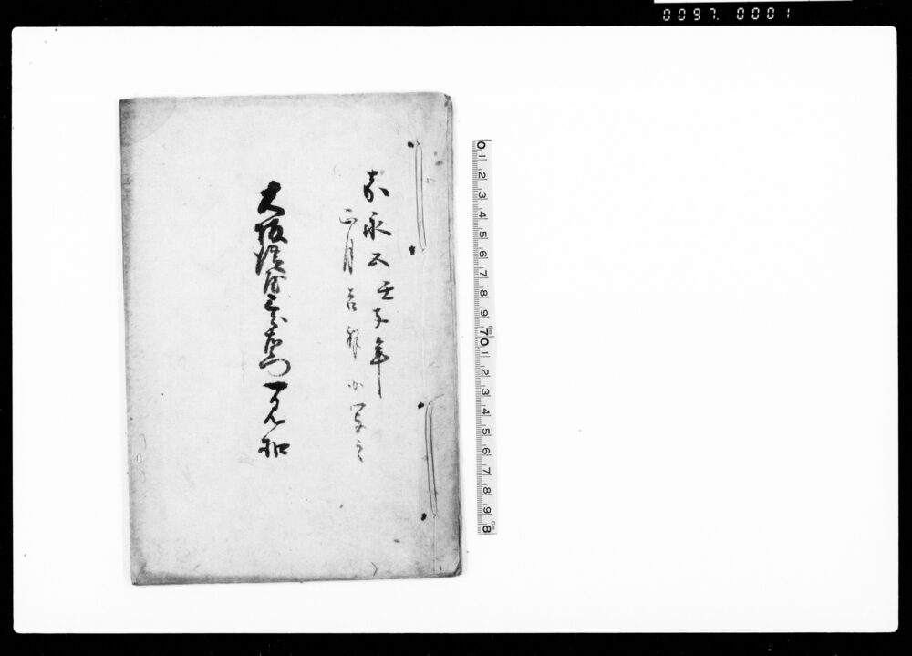 作品画像：大坂淀屋三郎右衛門一見控（闕所物書立）