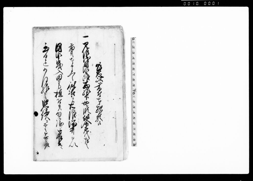 作品画像：乍恐以書付奉歎願候（見沼代用水御普請の入用につき）