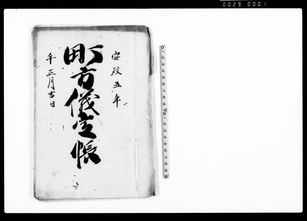 作品画像：町方儀定帳・仮人別改帳